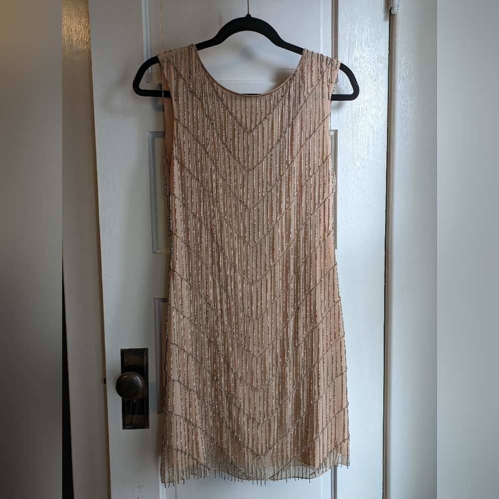 Alice + Olivia blush pink silk flapper dress with silver beading